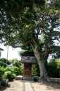 鎌足神社 宮中 鹿島市 茨城県