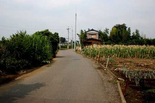 鎌倉街道 大和田4丁目4番河幸米店横入ル 新座 埼玉
