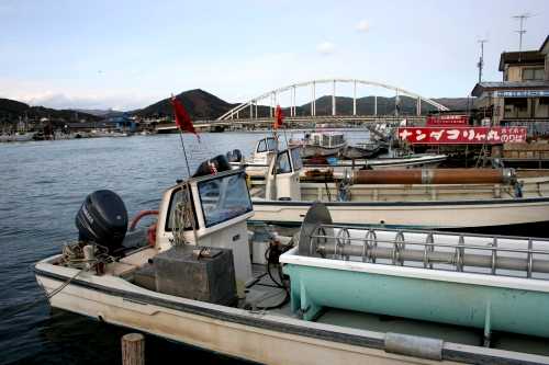 祝田浜 渡波 石巻市