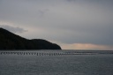 牡蠣養殖場 桃浦 石巻市
