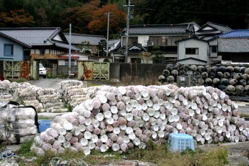 桃浦 石巻市