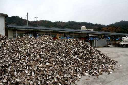 小網倉浜 石巻市