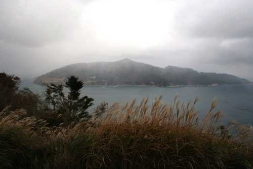 金華山島 石巻市