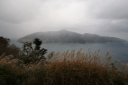 金華山島 石巻市