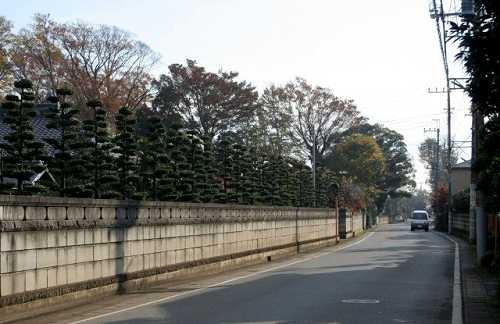 町並み 泉 印西市