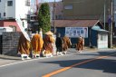 天台宗全国一斉托鉢 木下 印西市