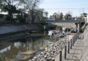 弁天川・弁天橋・国道３５６号 木下 印西市