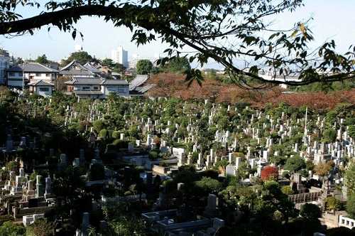 築地別院和田堀廟所墓地 寺町方面 永福 杉並区