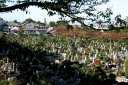 築地別院和田堀廟所墓地 寺町方面 永福 杉並区