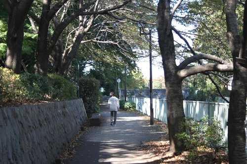 塚山公園・塚山橋・神田川 下高井戸５丁目 杉並区