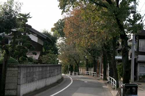 旧甲州街道 錦町５丁目 立川市