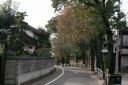 旧甲州街道 錦町５丁目 立川市