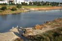 多摩川・立日（たっぴ）橋・日野渡し跡 立川市－日野市