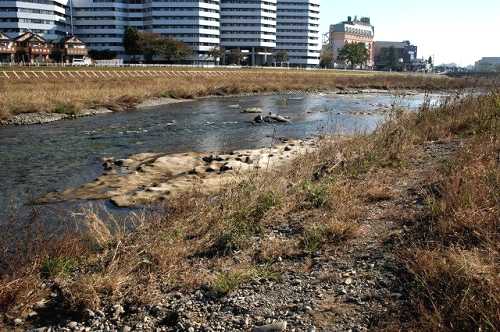 浅川・大和田の渡し跡 大和田町 八王子市