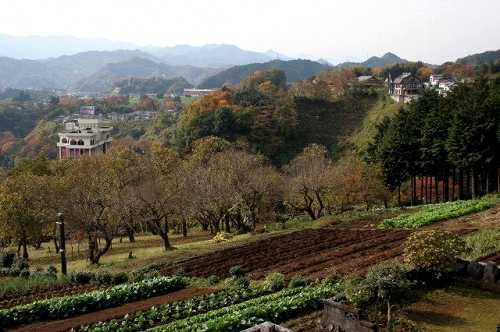 横橋 相模湖町 相模原市