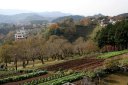 横橋 相模湖町 相模原市