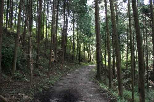 旧道 野田尻 上野原市 山梨県