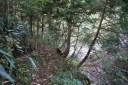甲州街道峠道 日影 大和町 甲州市 山梨県