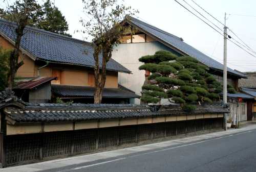 台ヶ原 白州町 北杜市 山梨県