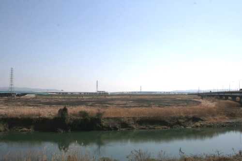 宇治川左岸(巨椋池干拓地) 向島 伏見区 京都市