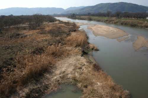 木津川 八幡市
