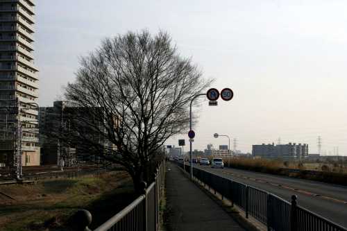 京街道(府道13号) 楠葉花園町 枚方市