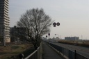 京街道（府道１３号） 楠葉花園町 枚方市