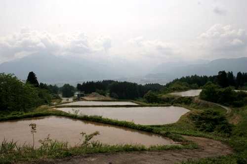 棚田風景 塩沢 南魚沼市 新潟県