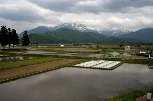 八海山 寺尾 南魚沼市 新潟県