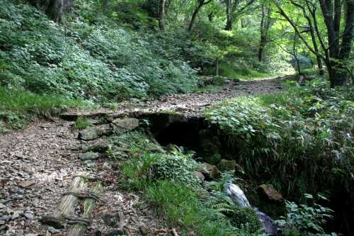 三国権現御神水 旧三国街道 浅貝 湯沢町 南魚沼郡 新潟県