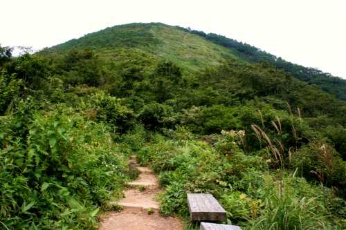 三国山（１６３６ｍ） 永井 みなかみ町 利根郡 群馬県