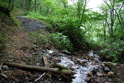 晶子清水 三国路自然歩道 永井 みなかみ町 利根郡 群馬県