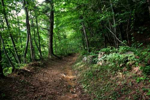 三国路自然歩道 永井 みなかみ町 利根郡 群馬県