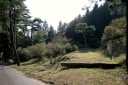 塩原太助馬つなぎの松 中山 高山村 吾妻郡 群馬県
