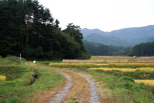 金比羅峠に続く古道跡 塚原 上津 みなかみ町 利根郡 群馬県