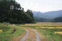 金比羅峠に続く古道跡 塚原 上津 みなかみ町 利根郡 群馬県