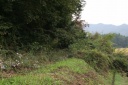 金比羅峠に続く古道跡 塚原 上津 みなかみ町 利根郡 群馬県