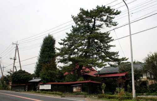 但馬院 下新田 みなかみ町 利根郡 群馬県