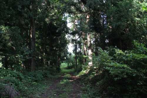 旧三国街道 岩山 五箇 南魚沼市 新潟県