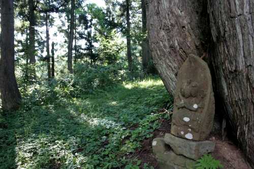 旧三国街道（栃原峠前） 五箇 南魚沼市 新潟県