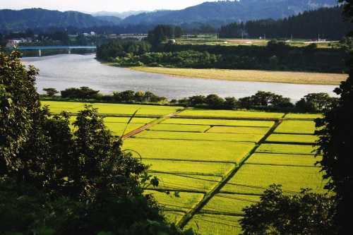 魚野川 下倉付近 魚沼市 新潟県