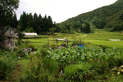 重要文化財 旧佐藤家住宅 守門 須原 魚沼市 新潟県
