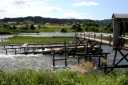 堀之内やな場 魚野川 根小屋 魚沼市 新潟県