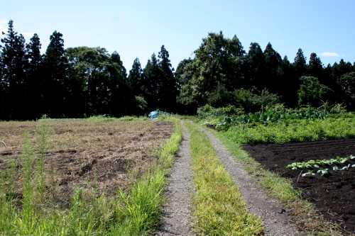 旧三国街道 和南津峠 和南津 川口町 北魚沼郡 新潟県