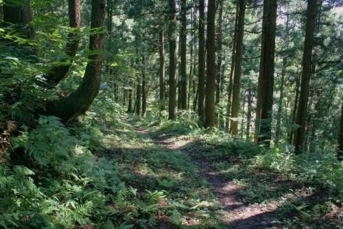 旧三国街道 和南津峠 和南津 川口町 北魚沼郡 新潟県