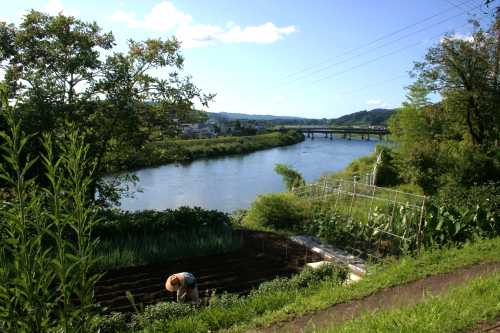 旧三国街道より魚野川展望 中山 川口町 北魚沼郡 新潟県