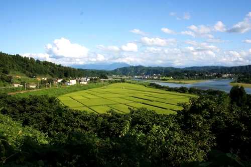 魚野川（左）・信濃川（右）合流点眺望 牛ケ島 川口町 北魚沼郡 新潟県