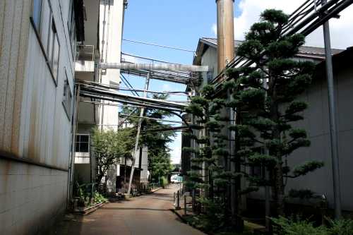 殿様街道（旧三国街道） 摂田屋４丁目 長岡市 新潟県