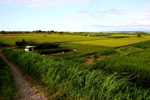 信濃川河川敷 川袋町 長岡市 新潟県