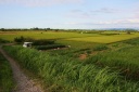 信濃川河川敷 川袋町 長岡市 新潟県